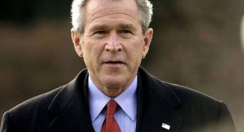 US election: George Bush backs Donald Trump