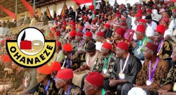 Us election: Why IPOB, PDP are devastated over Trump’s defeat – Ohanaeze