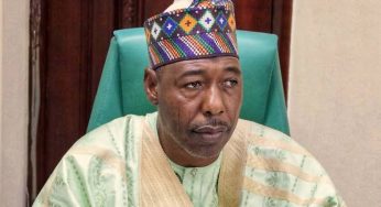 Pension: Zulum storms verification centre, examines retirees’ documents