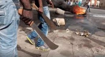 At least 18 dead as cult war escalates in Edo State