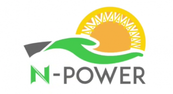 FG unveils portal for N-power beneficiaries