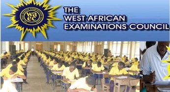 WAEC: How to check 2020 WASSCE result (See details)