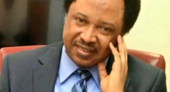 Lekki shooting: ‘You asked for proof, CNN gave you proofs and you are barking’ – Shehu Sani mock Buhari govt