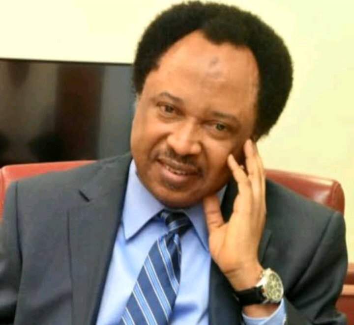 Lekki shooting: ‘You asked for proof, CNN gave you proofs and you are barking’ – Shehu Sani mock Buhari govt