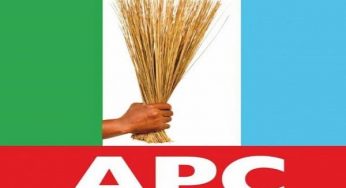 APC disowns G-9 Benue South group