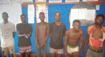 Lagos-based cultists caught buying gun in Ogun