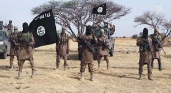 Boko Haram: ISWAP fighters abduct aid worker, local officials in Borno