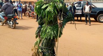 Fun, excitement at Echija Cultural Festival 2020 in Otukpo