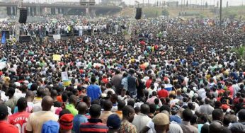 Nigeria population now 206 million