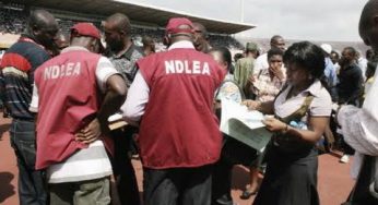 NDLEA arrests 148 suspected drug dealers, traffickers in Kaduna