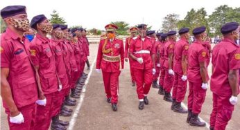 Herdsmen attack Amotekun, destroy farms in Ondo  