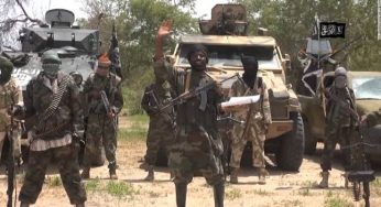 BREAKING: Why we killed rice farmers in Borno – Boko Haram