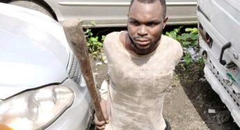 Commercial driver smashes LASTMA official’s head with pestle in Lagos