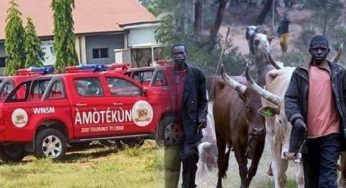 Amotekun debunks reports of clash with fulani herdsmen in Ibarapa