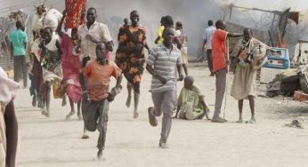 Kaduna massacre: Seven killed, other injured, 57 kidnaped in Birnin Gwari