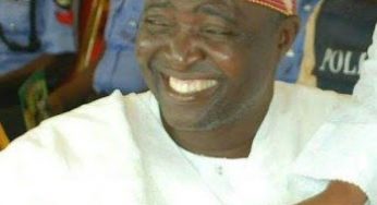 Baba Adinni of Osogbo: Ex-Senator Adebayo Salami dies in United States