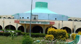 13 APC aspiring lawmakers disqualified after testing positive to hard drugs in Kano