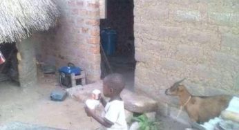 How Gov Ortom changed my life from living in ‘borrowed’ mud house to a landlord – SSA on ICT 