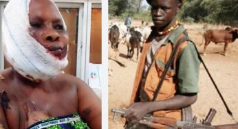 Fulani herdsmen strike in Ogun, force passenger to swallow bullets at Ijebu (VIDEO)