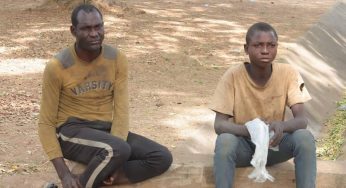 Suspected cattle rustlers arrested in Benue