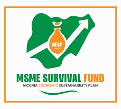 Important information on Survival Fund for artisans in Benue South Senatorial District
