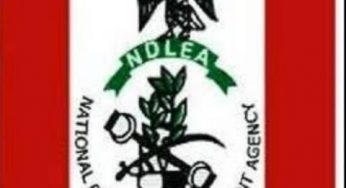 Recruitment: 1,000 NDLEA cadets stranded as minister stops Plateau orientation