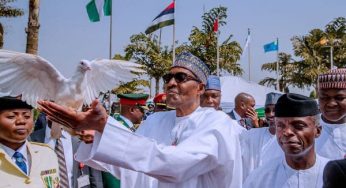 Buhari’s aide finally reveals why pigeons refused to fly on Armed Forces Remembrance Day