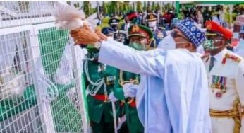 Why pigeons refused to fly from Buhari’s hands – APC chieftain, Agbese