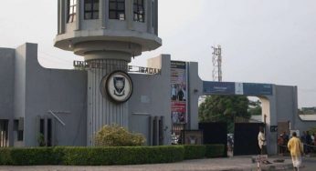 University of Ibadan cancels 2019/2020 session, 2021/2022 admission  