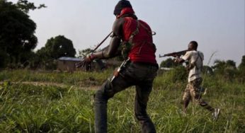 12 feared dead as bandits turn guns against each other