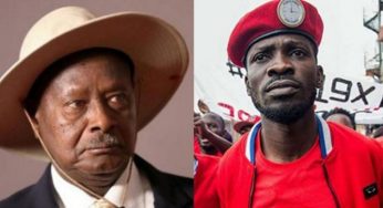 Bobi Wine Vs Yoweri Museveni: Update on Uganda election