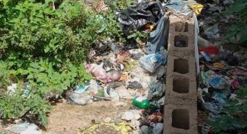 Newborn baby found in refuse dump in Ebonyi