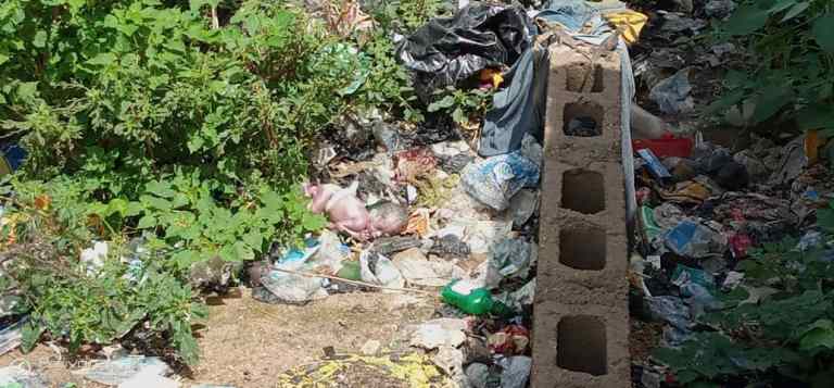 Newborn baby found in refuse dump in Ebonyi