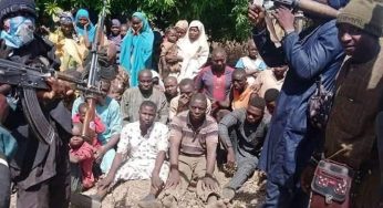 BREAKING: Shekau-led Boko Haram group release kidnapped passengers in Niger 