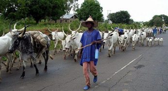 Update on the murder of elderly Fulani man in Benue community