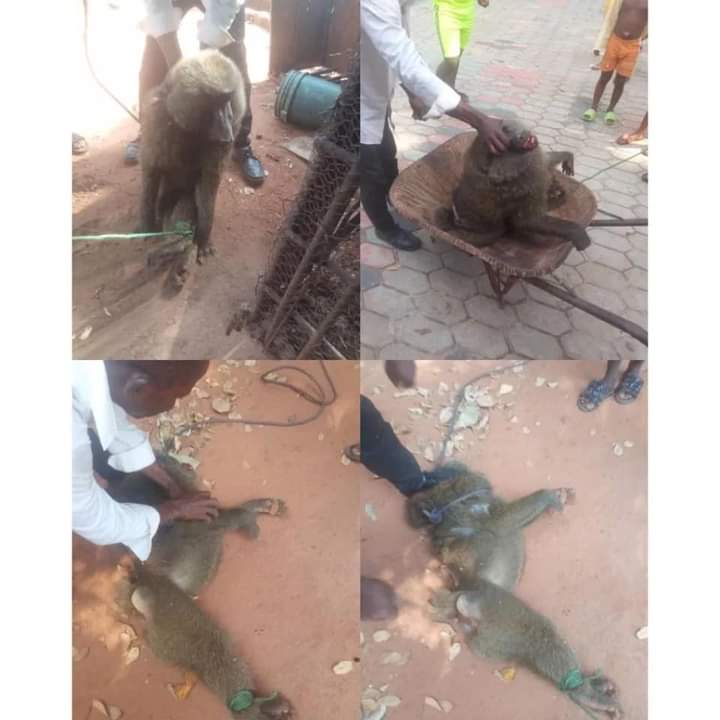 Police arrest Baboon for assaulting and leaving a 13-yr-old girl hospitalized in Anambra community