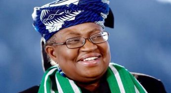 WTO DG: Okonjo-Iweala has again brought honour to our Nigeria – PDP