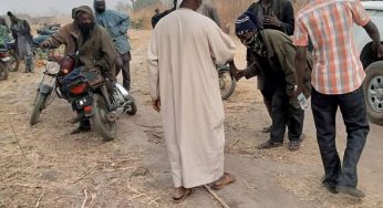 Kagara boys release: Terrorists welcome Islamic cleric, Gumi to Niger forest