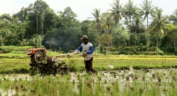 Why people look down on agriculture in Nigeria