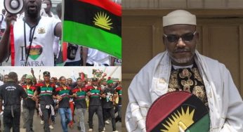 Nnamdi Kanu dares Ortom, sends ‘Biafra soldiers’ to Benue