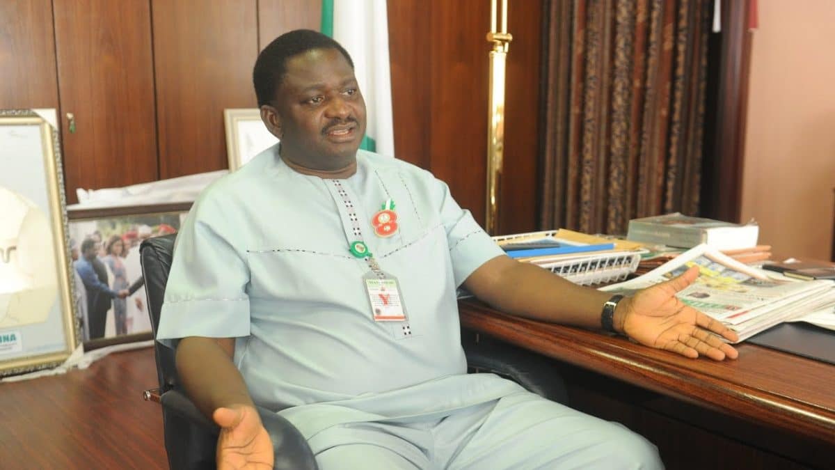 No apologies for calling Buhari’s critics wailing wailers – Femi Adesina