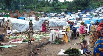 Herdsmen killings: Speaker bullies Benue lawmaker, Gbillah over petition against FG from Tivs in America