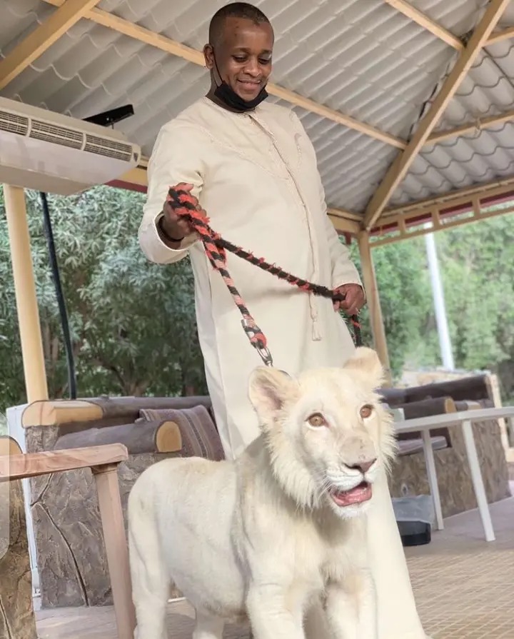 Buhari’s son in-law buys lion as pet, Nigerians react