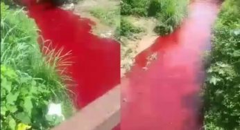 Confusion in Enugu community as River allegedly turns to blood