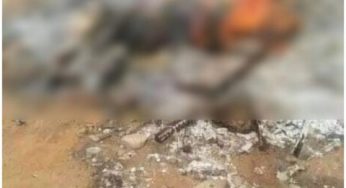 Muslims burn man to death in Bauchi for allegedly insulting Prophet Mohammad