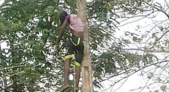 26-year-old man electrocuted in Benue community after climbing pole without gloves