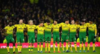 Norwich City get automatic promotion back to Premier League