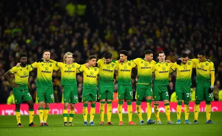 Norwich City get automatic promotion back to Premier League