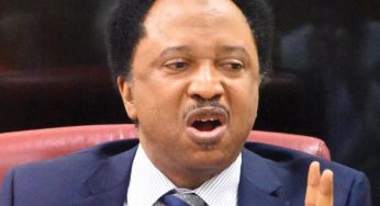 42 persons roasted alive in Sokoto yet no outcry – Shehu Sani laments