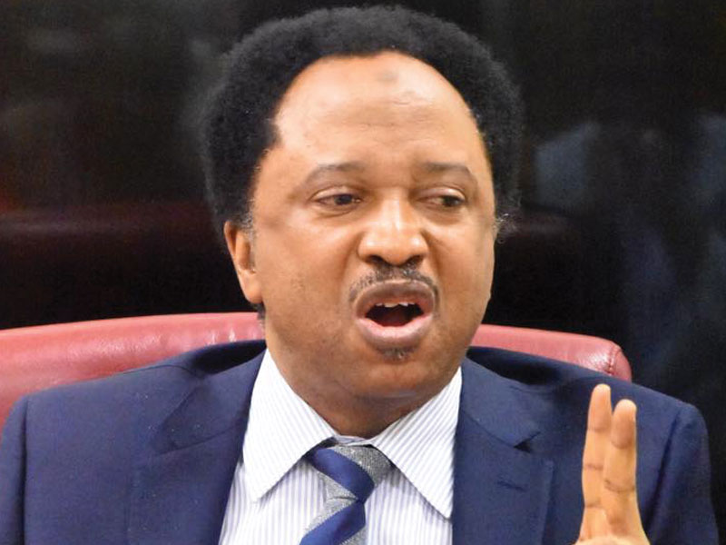 42 persons roasted alive in Sokoto yet no outcry – Shehu Sani laments